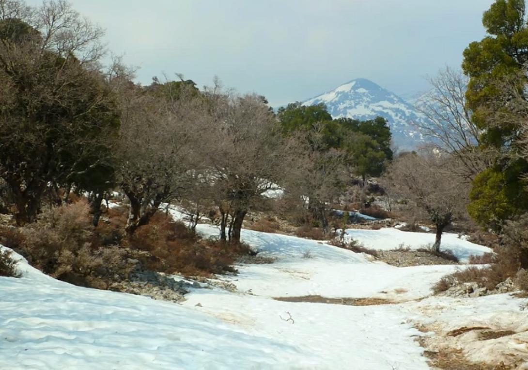 Μια ώρα μόνο με Ερωτόκριτο και άφθονη Κρήτη (βίντεο)
