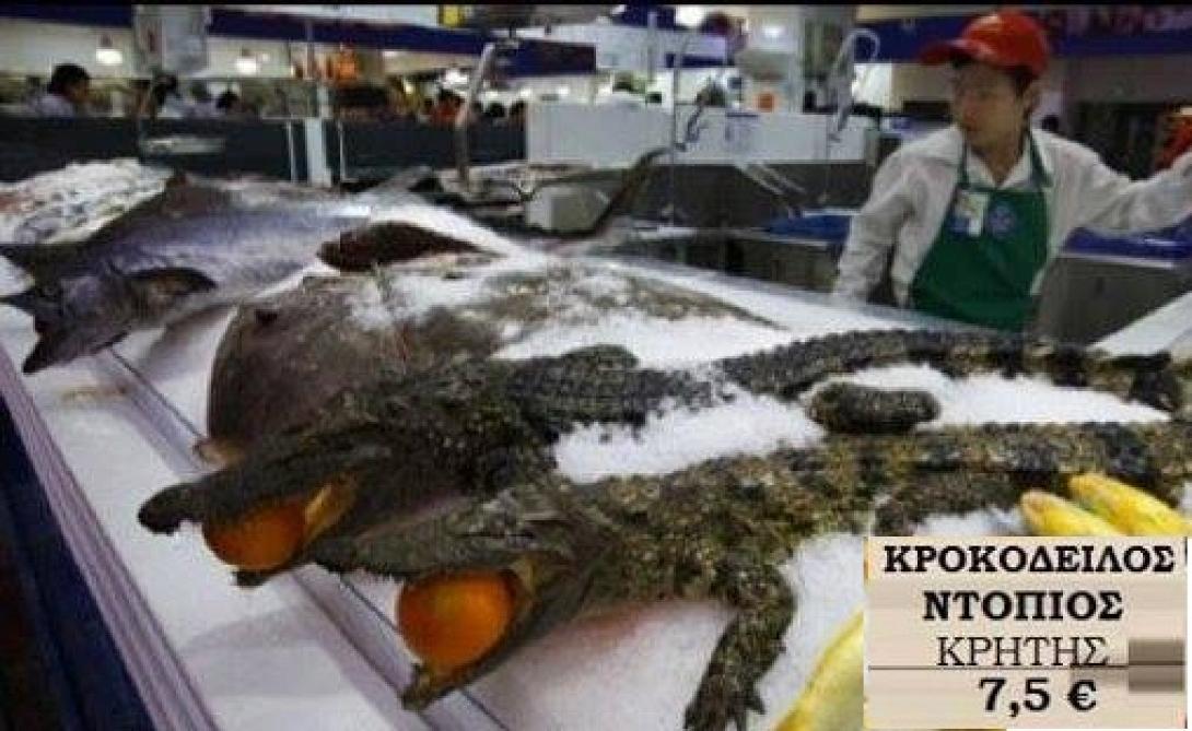 Κροκόδειλος ... Κρήτης κατεψυγμένος. Τιμή κιλού 
