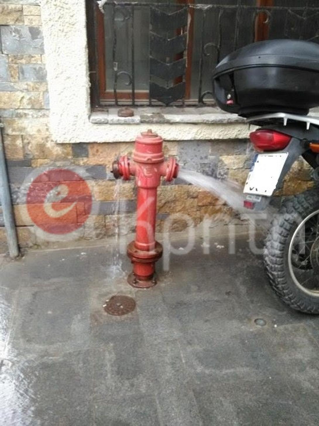 κρουνός καρδιωτίσσης