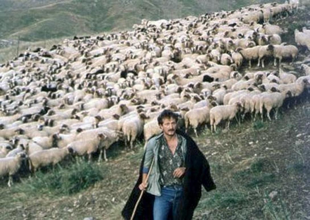 Λύσεις για τους κτηνοτρόφους που δεν έλαβαν εξισωτική αποζημίωση ζητά ο Λ. Αυγενάκης 