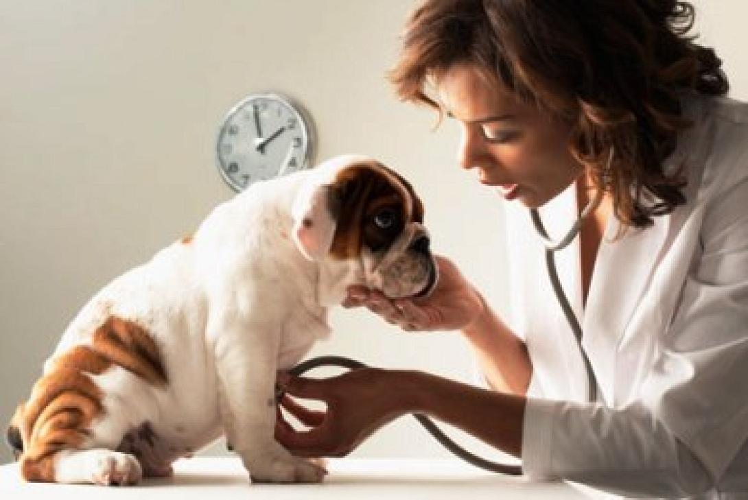 Προσλήψεις εποχικού προσωπικού από τον ΕΛ.Γ.Α. Ηρακλείου