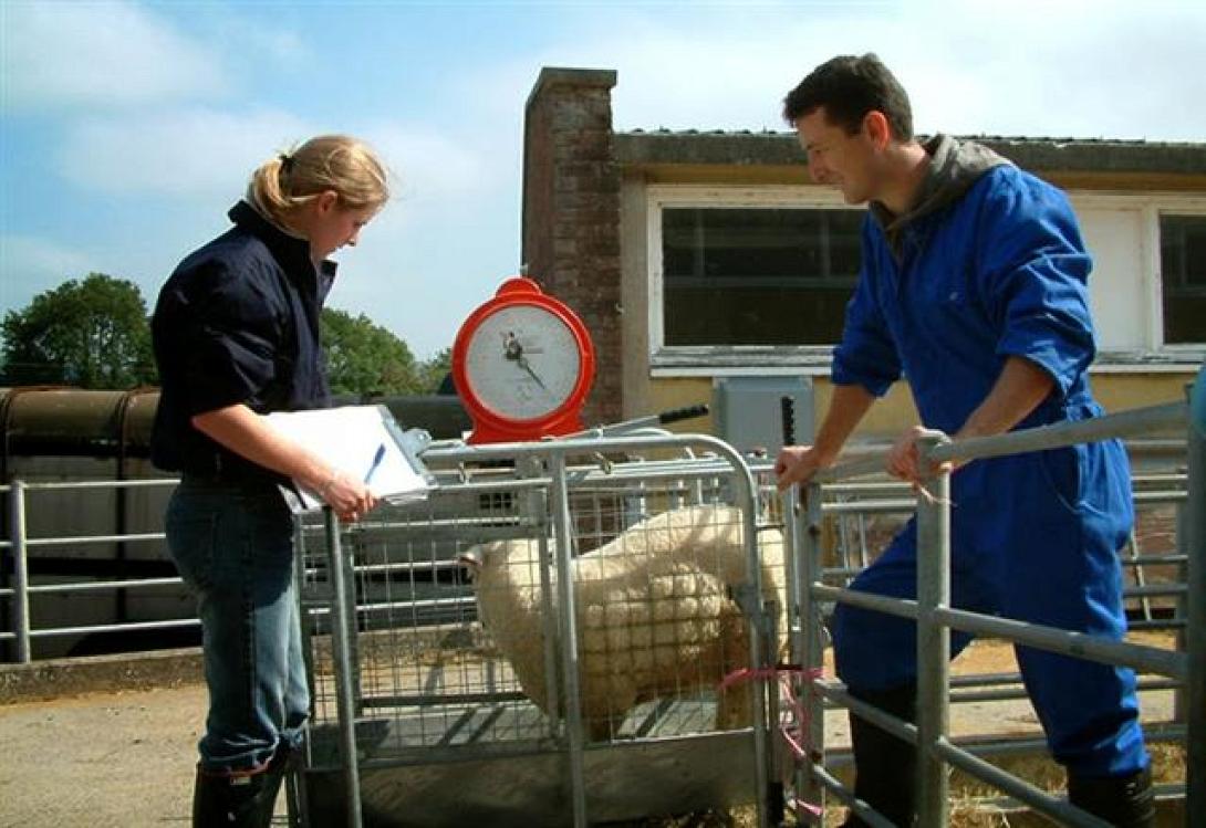 Πρόσκληση ενδιαφέροντος για τη δημιουργία μητρώου "κτηνιάτρων εκτροφής"