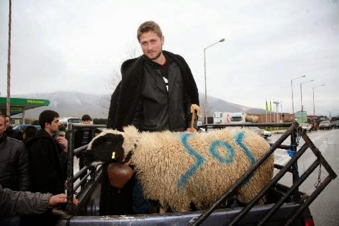 Την Τετάρτη το πιθανότερο η συνάντηση κτηνοτρόφων της Κρήτης με την ηγεσία του Υπουργείου Αγροτικής Ανάπτυξης