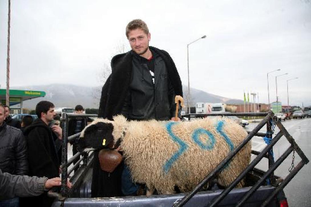 Ραντεβού στην Αθήνα δίνουν κτηνοτρόφοι από όλη την Ελλάδα