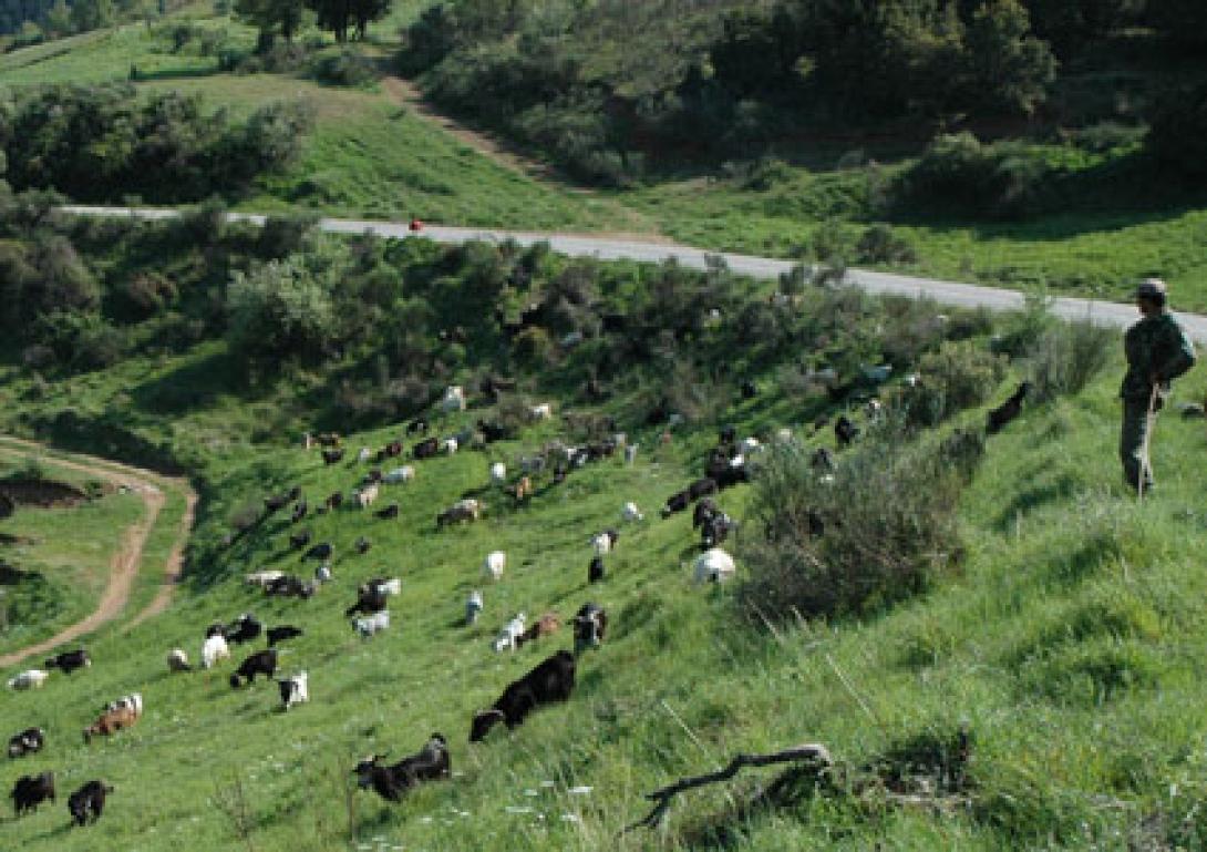 Τα προβλήματα τους εξέφρασαν στον υπουργό οι κτηνοτρόφοι της Κρήτης