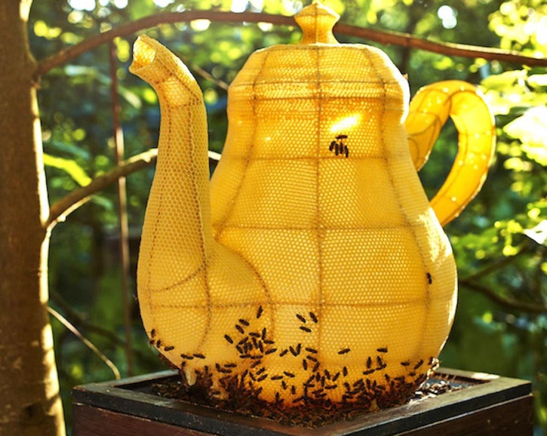 Μία κυψέλη ... έργο τέχνης!