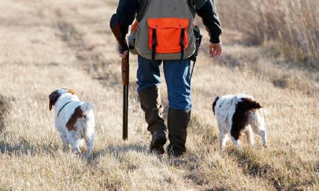 κυνηγός σκυλιά