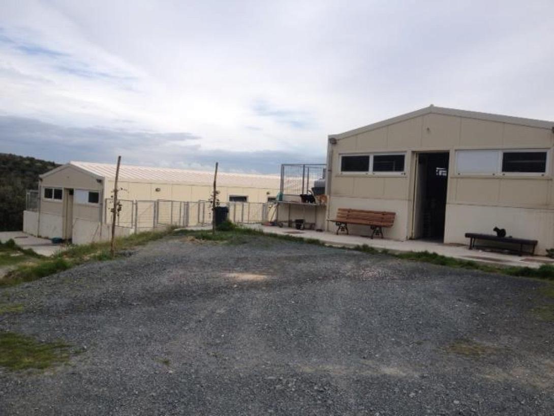 κυνοκομείο Ηρακλείου