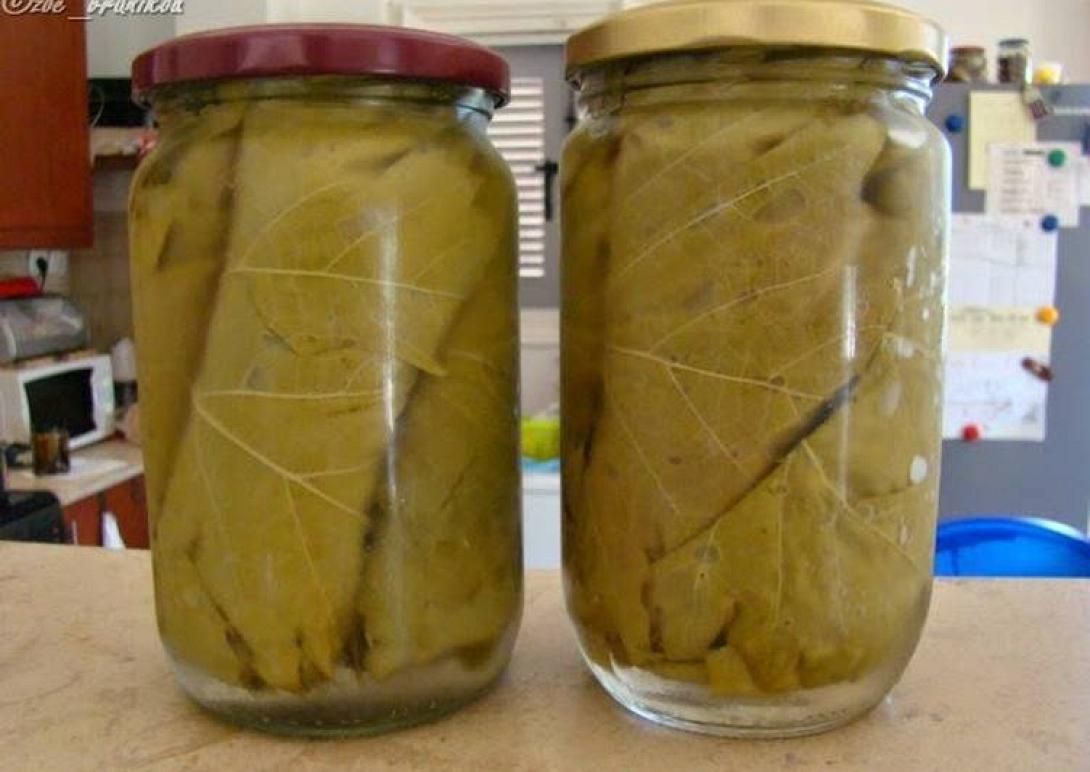 Αμπελόφυλλα