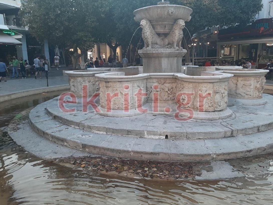 Λιοντάρια-ακαθαρσίες