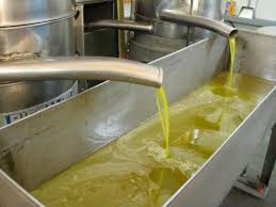 ΣΕΒΙΤΕΛ: Λανθασμένες οι προτάσεις του ΟΟΣΑ για το ελαιόλαδο