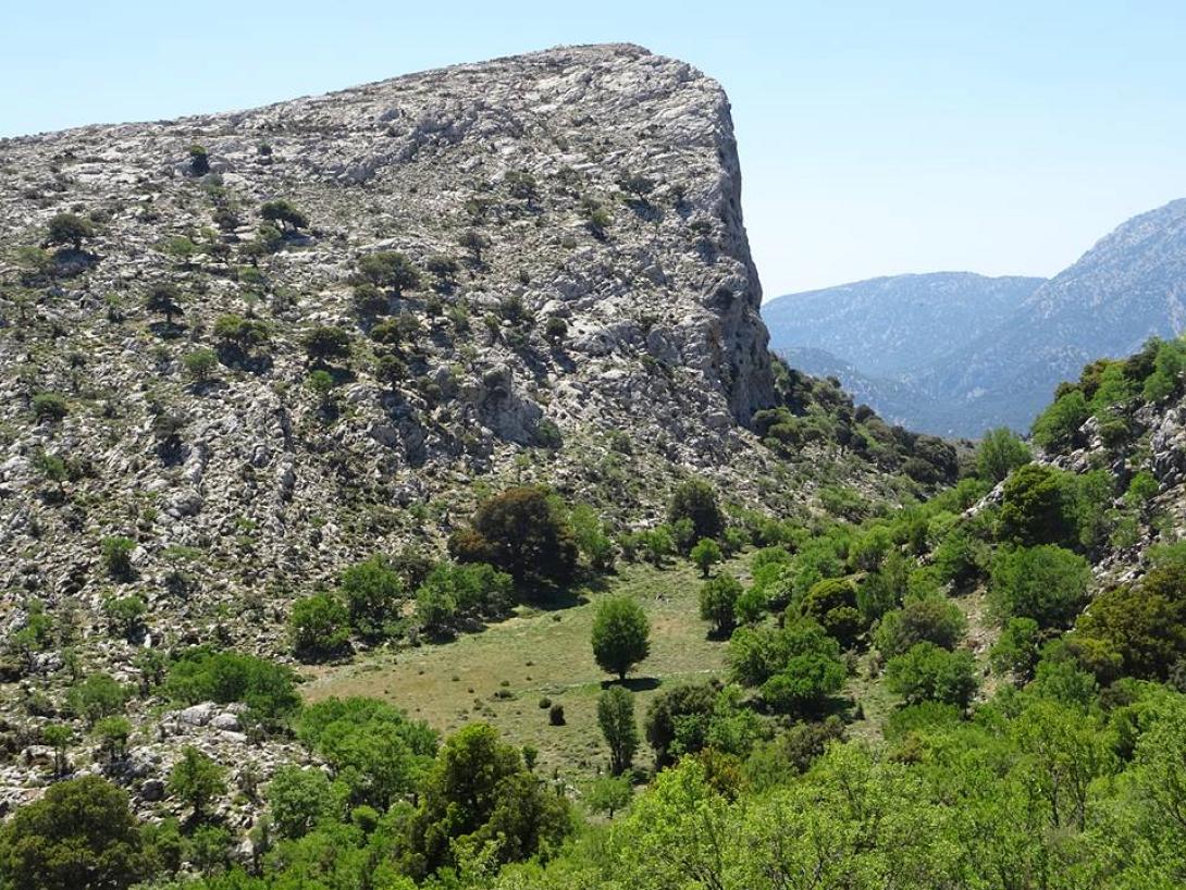 lakkos_koyrelioy.jpg