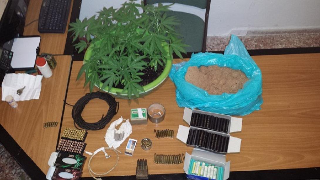 Σητεία: Δουλειές με ... φούντες για δύο νεαρούς (φωτο)