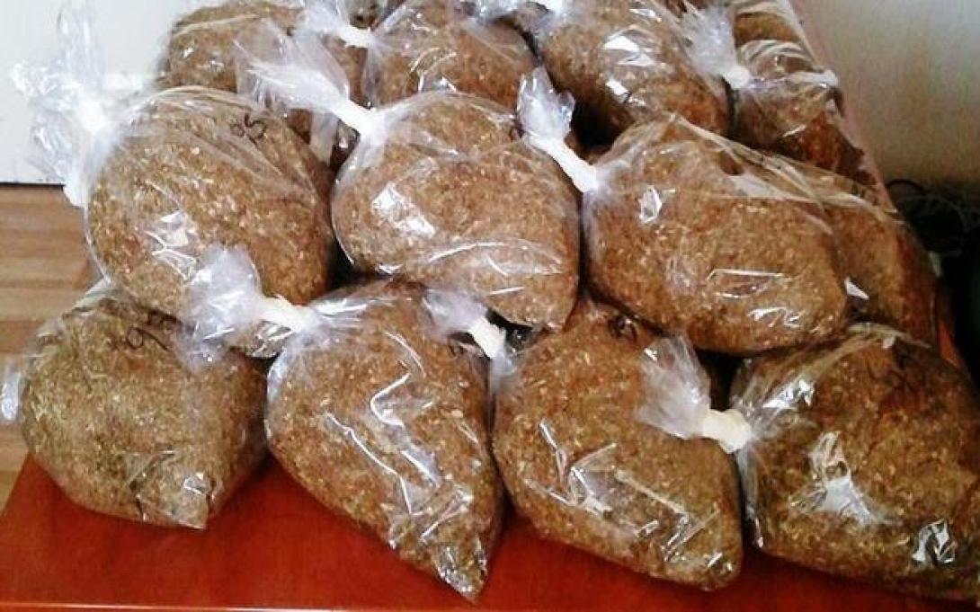 λαθραίος καπνός