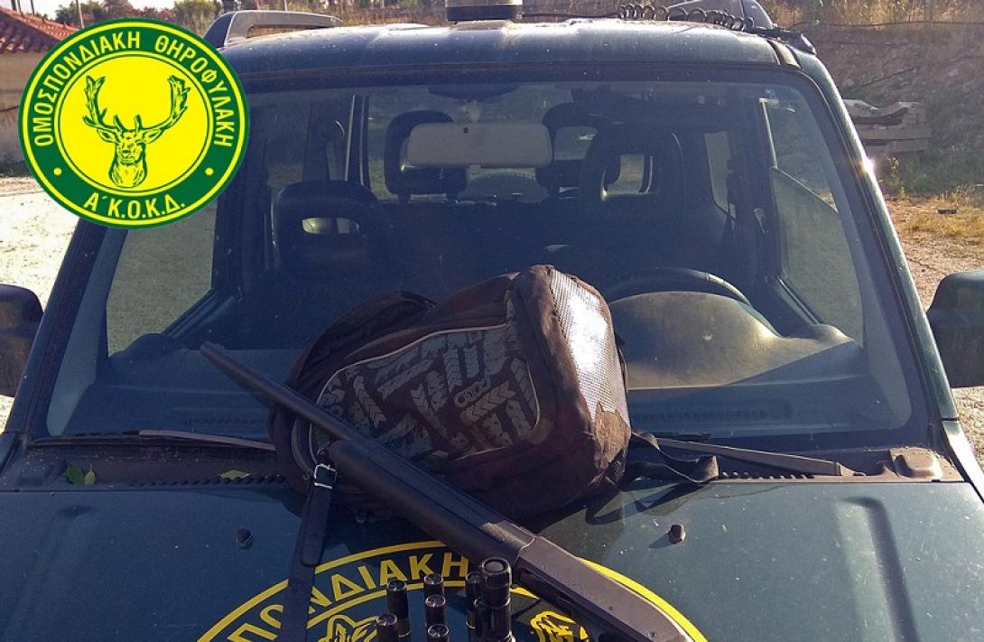 λαθροθηρία