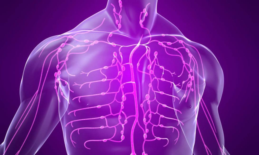 λεμφικό σύστημα