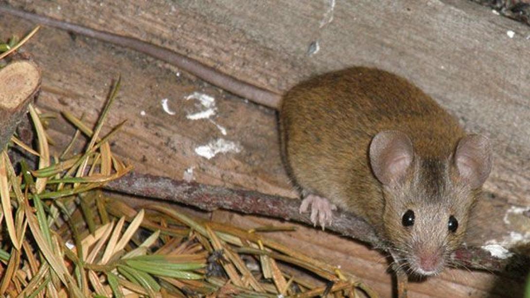 Χανιά: 'Αγνωστα παραμένουν τα αίτια θανάτου του 20χρονου ποδοσφαιριστή