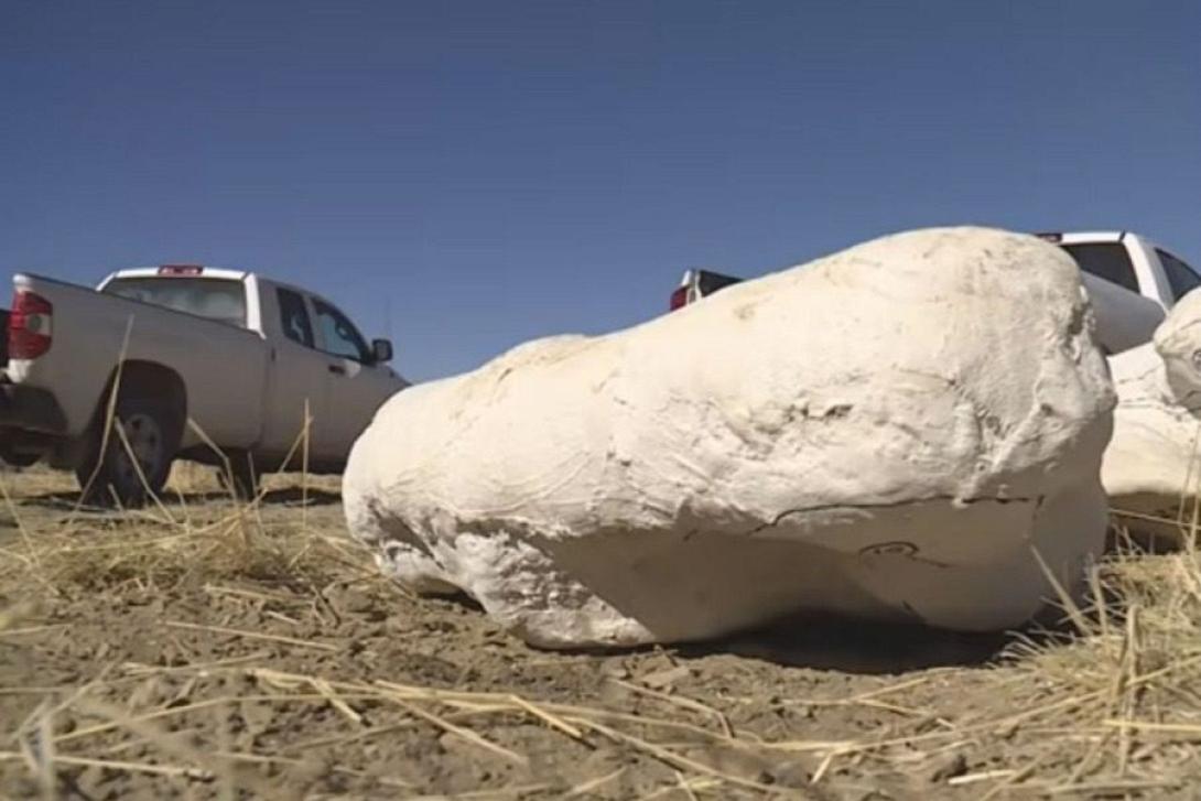 μια πέτρα ένα από τα σημαντικότερα αρχαιολογικά ευρήματα