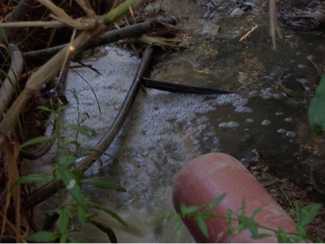 Καταγγέλλουν ύπαρξη λυμάτων στο Σκαλάνι οι Ενεργοί Πολίτες