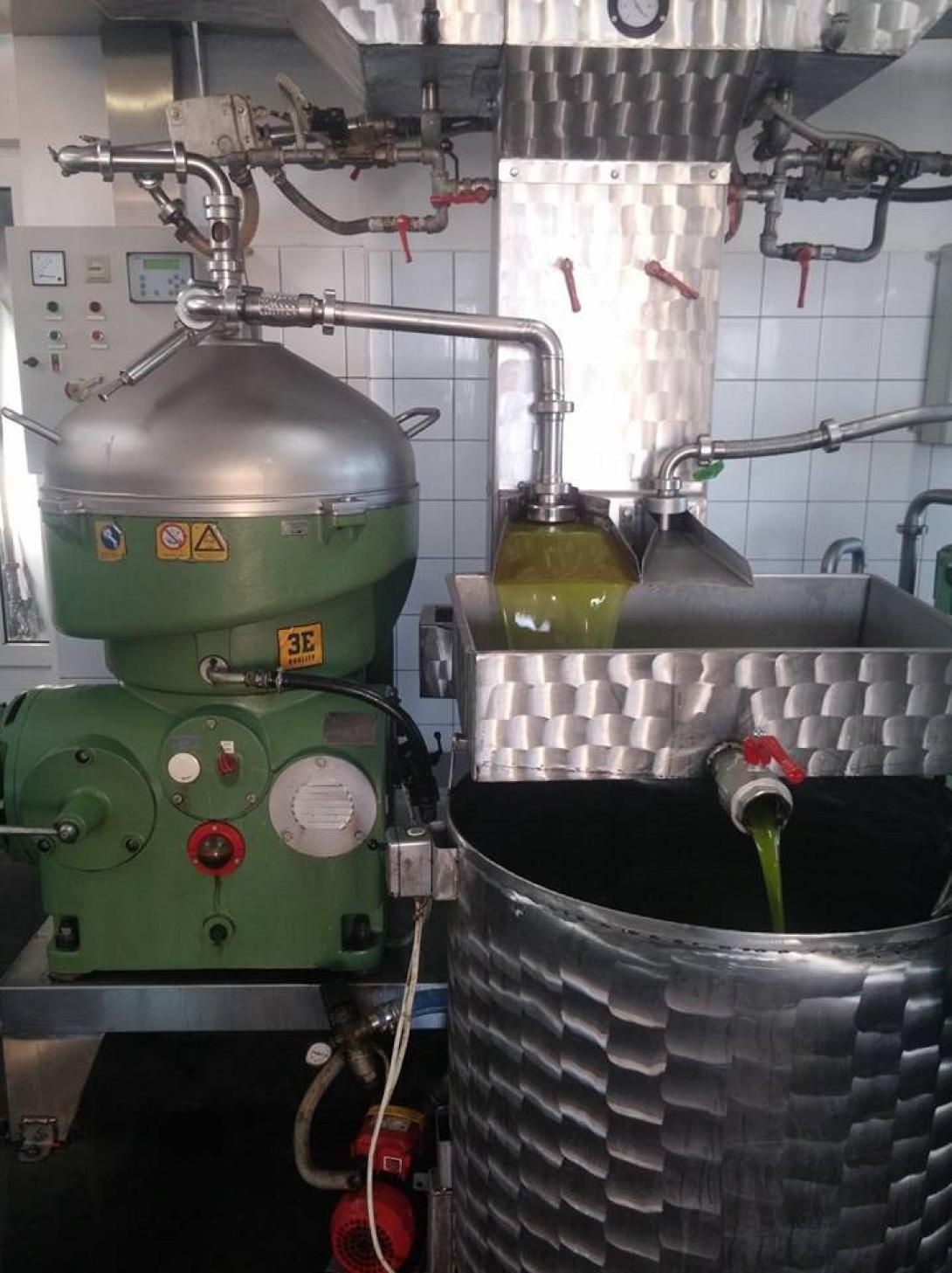 λιοντάρια ετοιμόρροπο