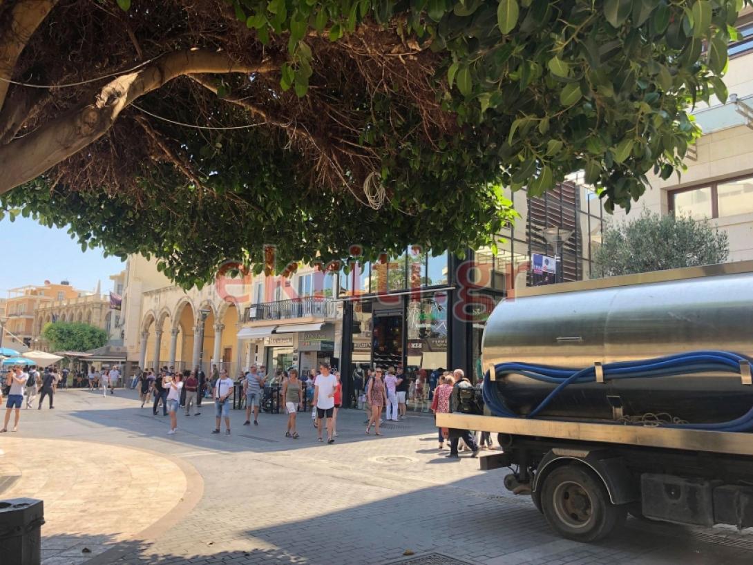 υδροφόρα λιοντάρια