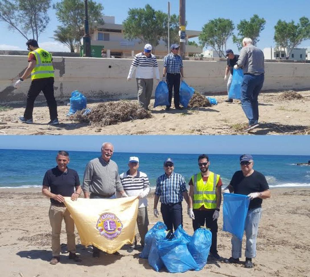 περιβάλλον lions