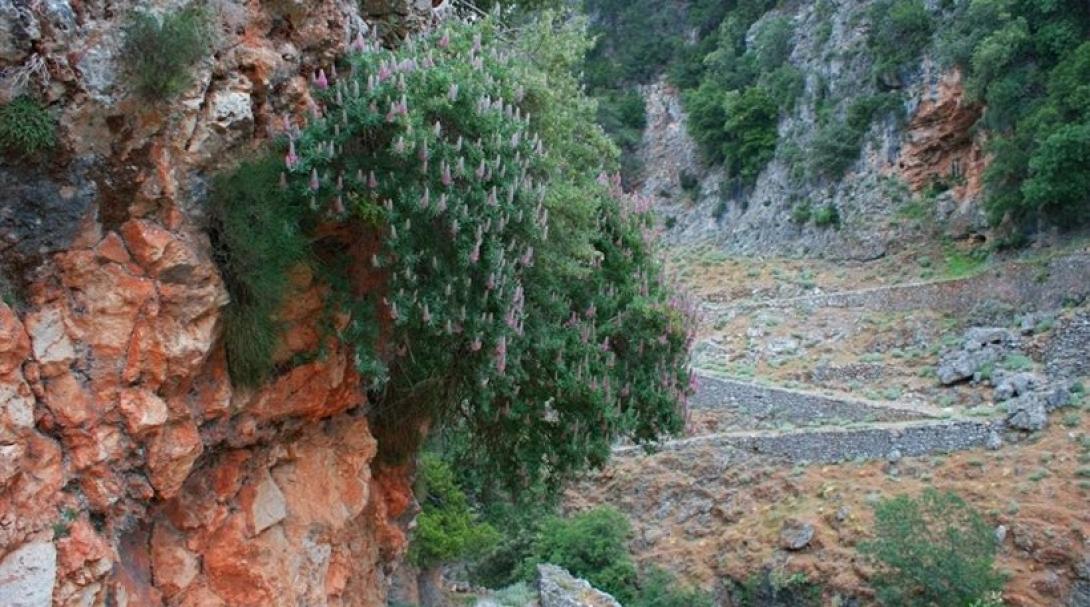 λουτρο σφακιων 