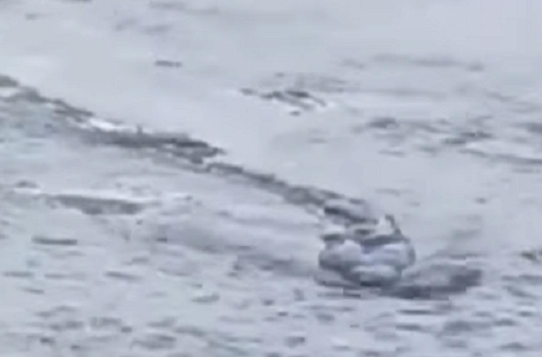 Και οι Iσλανδοί έχουν τέρας του Λόχνες (βίντεο)