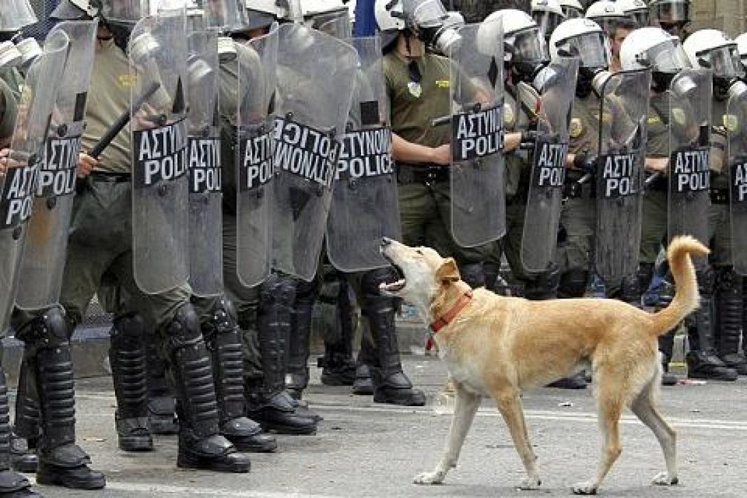 O Λουκάνικος, ο σκύλος - σύμβολο έγινε σήμερα και γκράφιτι