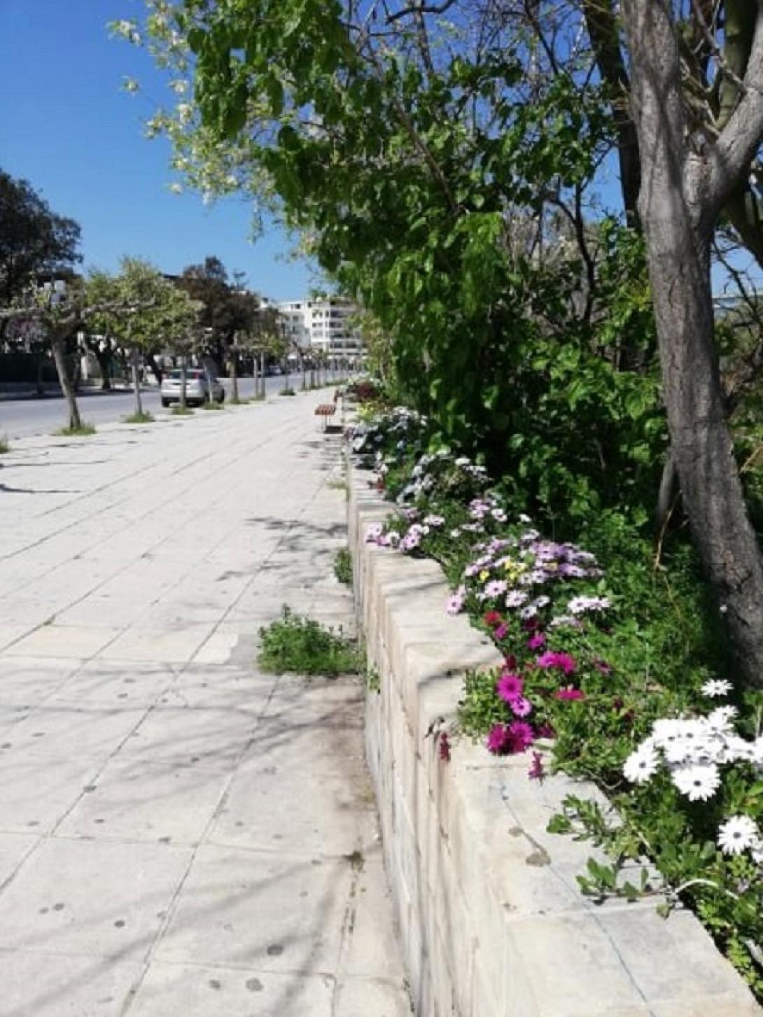 Όμορφες εικόνες με τα ανθισμένα λουλούδια