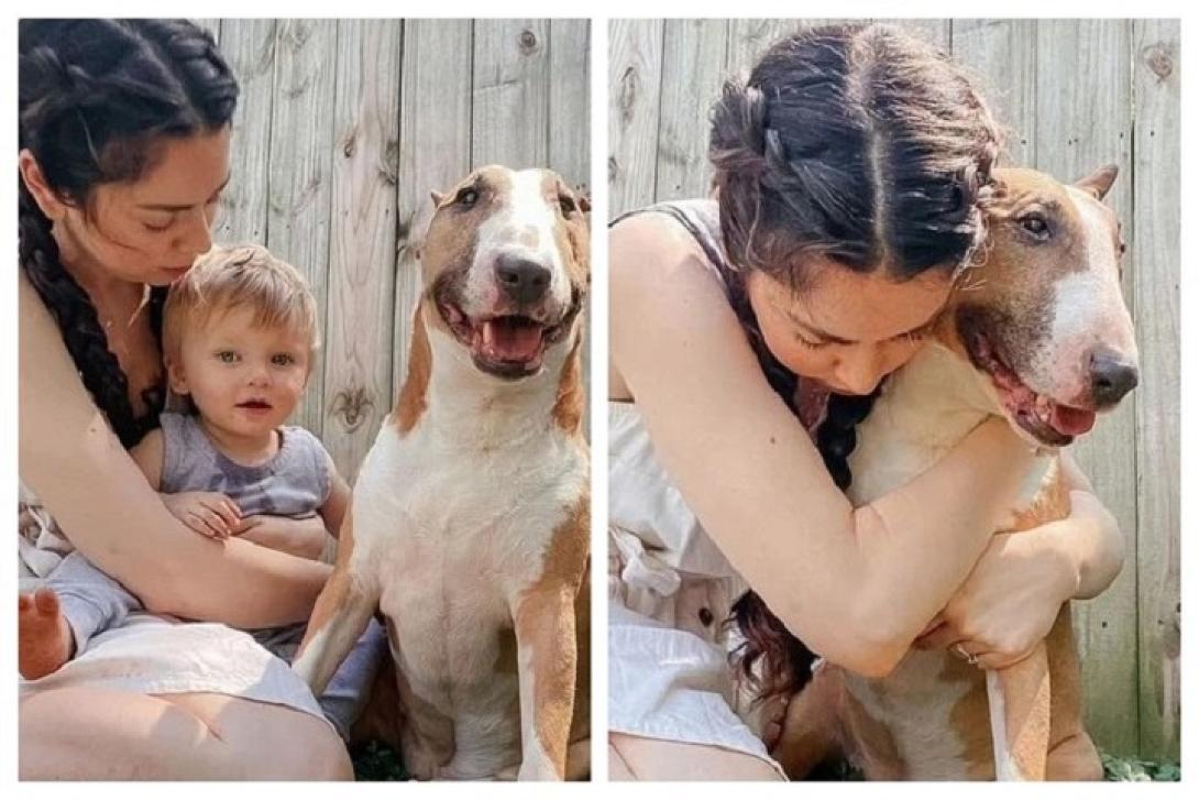 Influeser έκανε ευθανασία στον σκύλο της