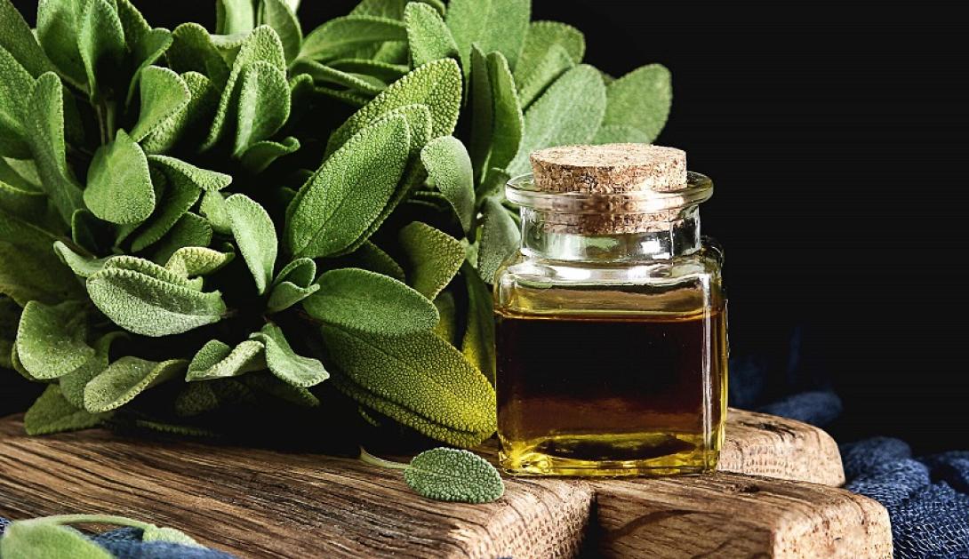 ελαιο φασκομηλου