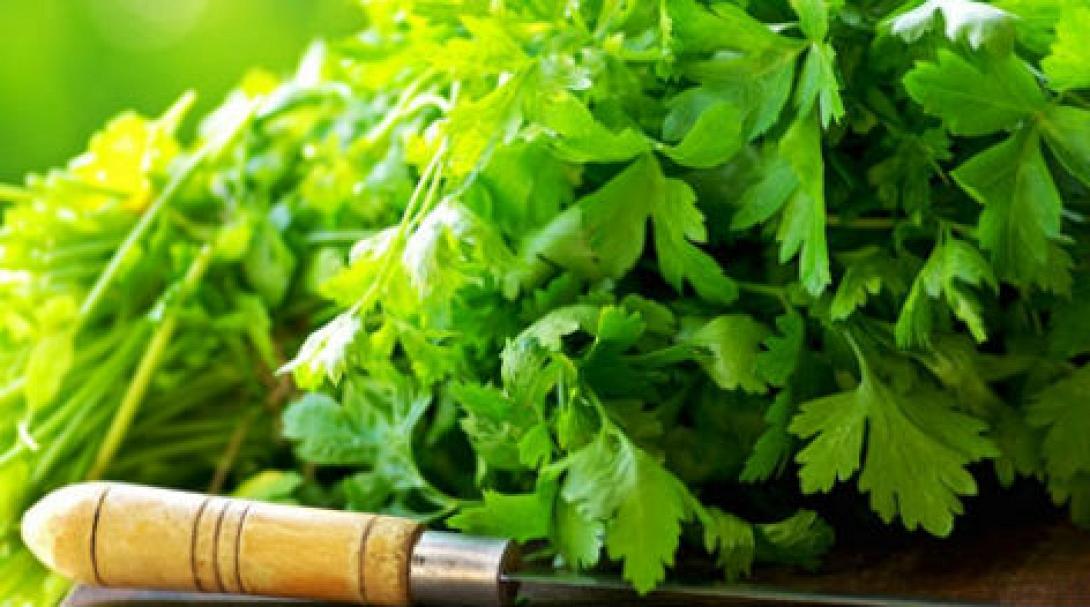 Μάσκα με μαϊντανό για λιπαρά μαλλιά