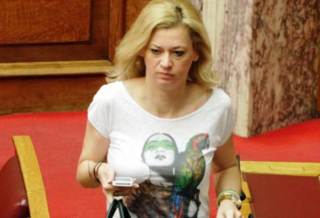 Δήλωση ΑΝΕΛ για την παρέμβαση Σόϊμπλε