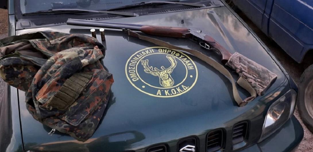 παρανομη θηρα