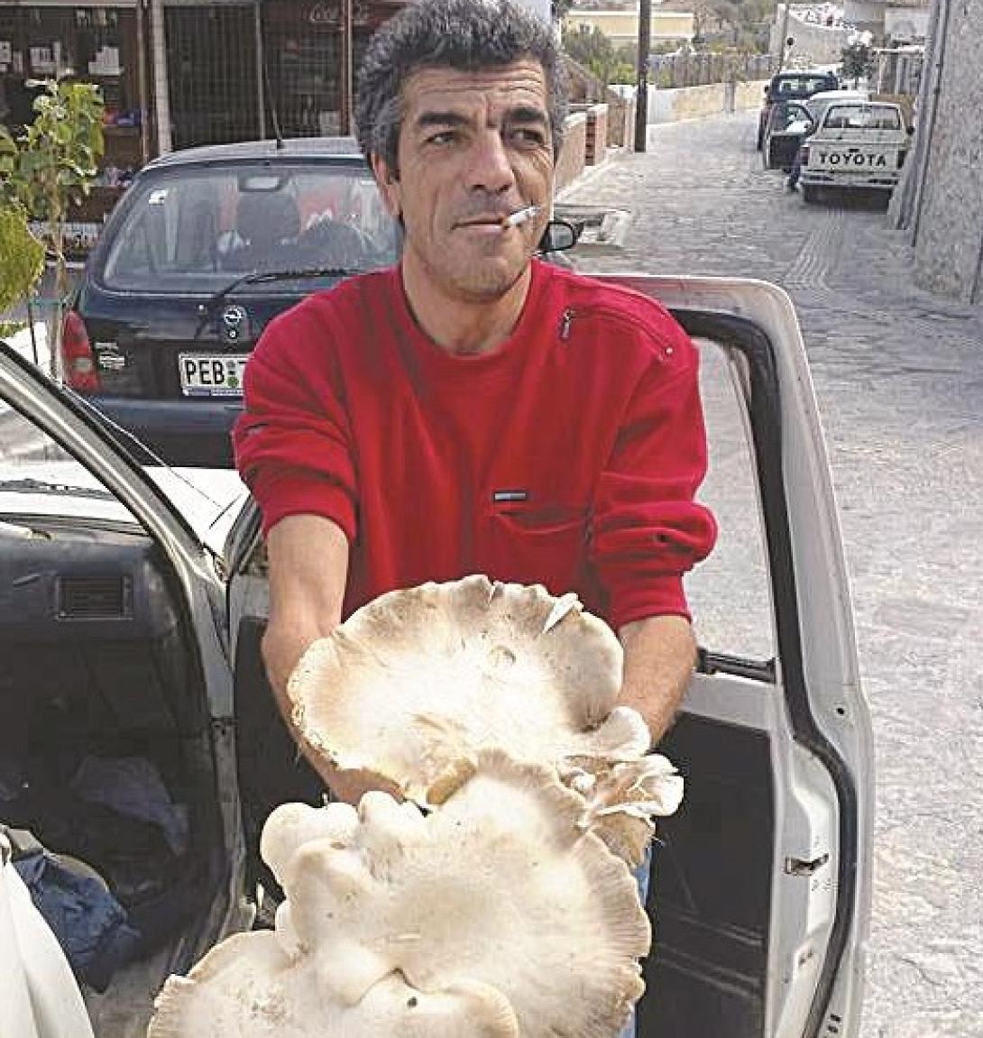 μανιταρι γιγας ρεθυμνο 