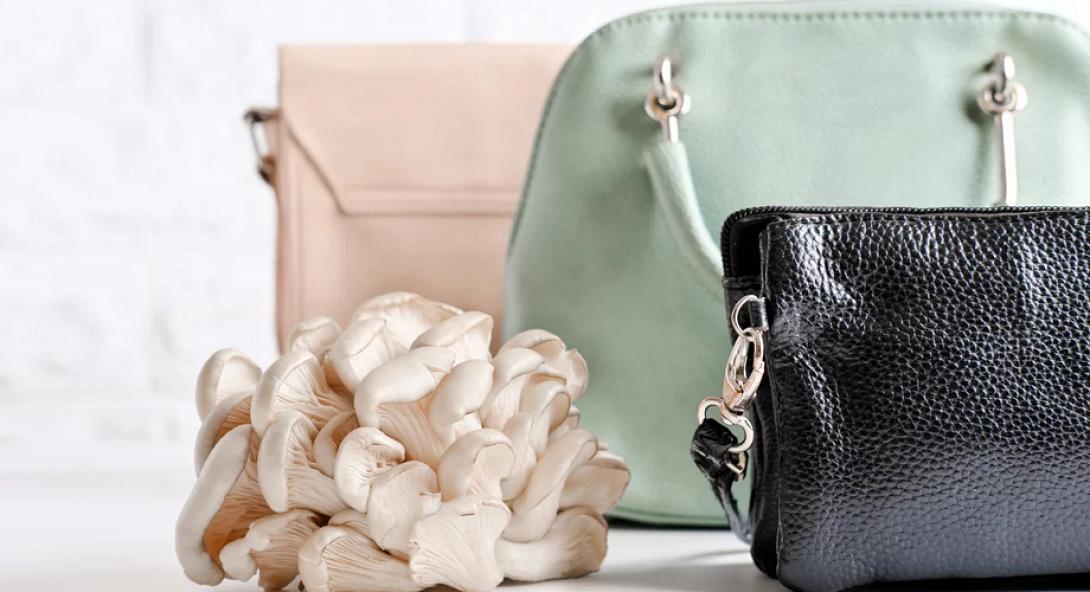 δέρμα μανιτάρια