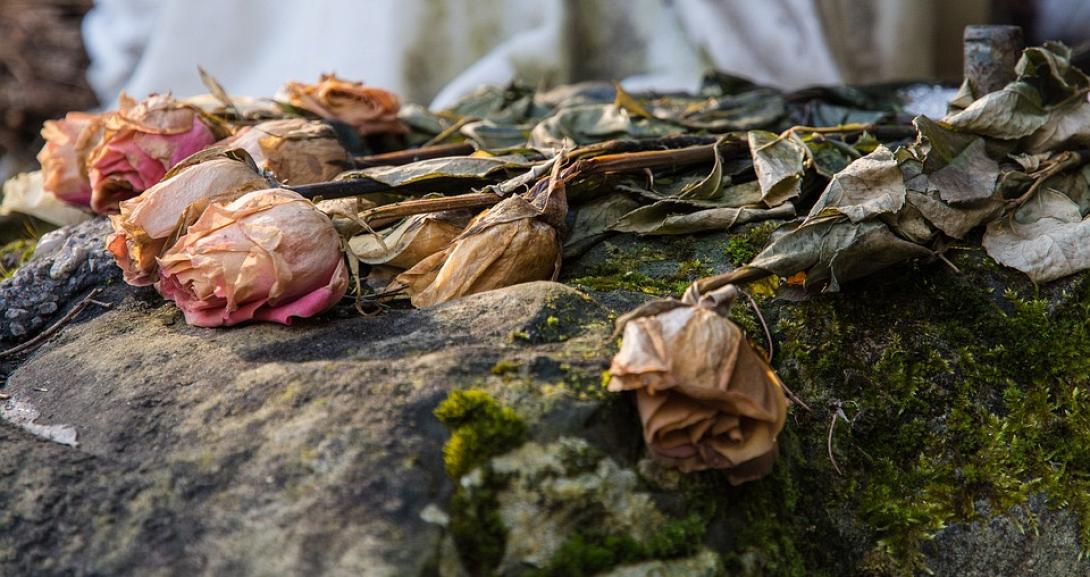 μαραμενα λουλουδια