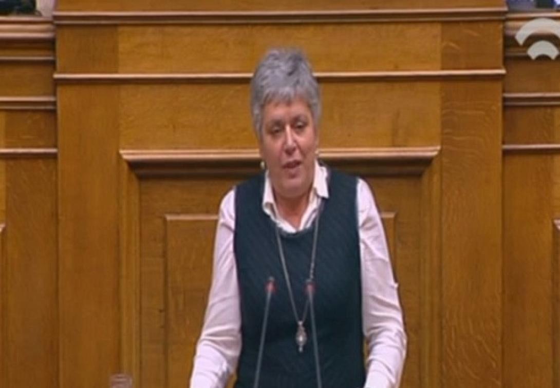 Η τοποθέτηση της Μαρίας Διακάκη για την απεργία πείνας του Ν. Ρωμανού (βίντεο)