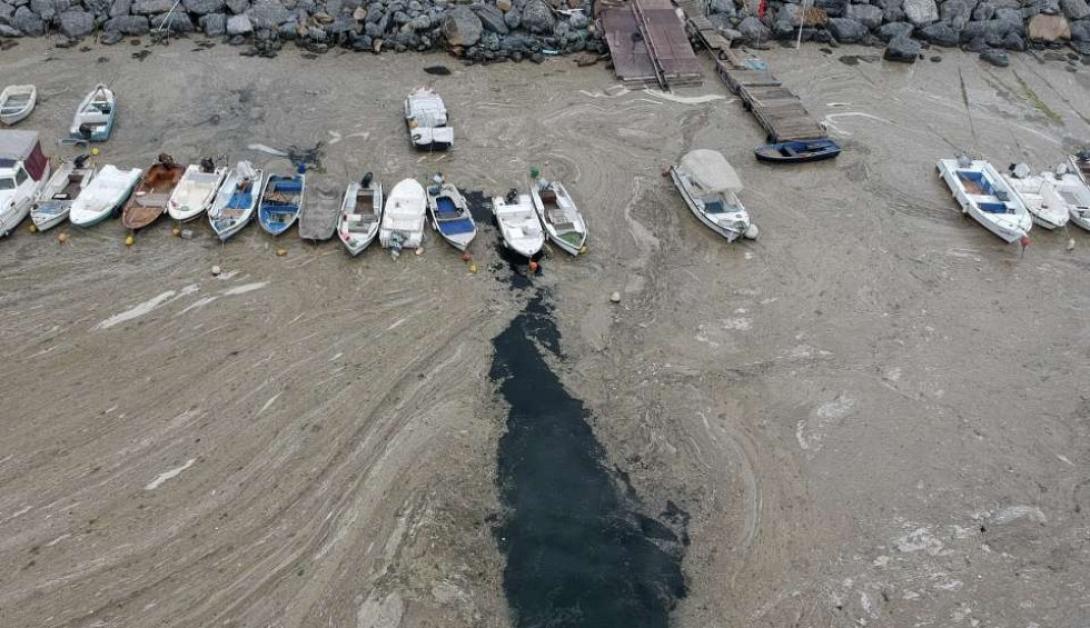 Η βλέννα στη θάλασσα του Μαρμαρά