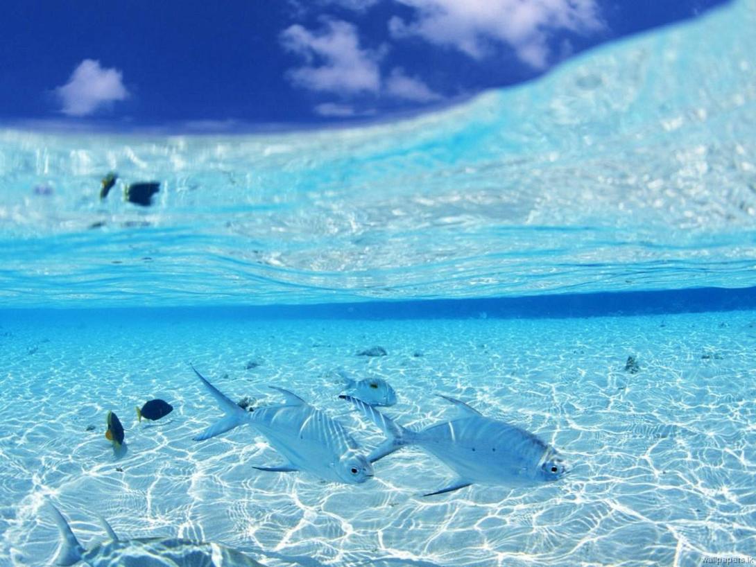 "Η αρχή της προφύλαξης" από τα χημικά στη Μεσόγειο ως μέσο πίεσης για την Κρήτη