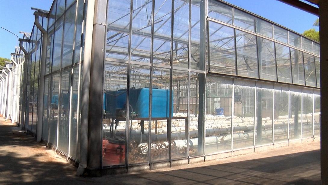 ΤΡΆΠΕΖΑ ΣΠΌΡΩΝ