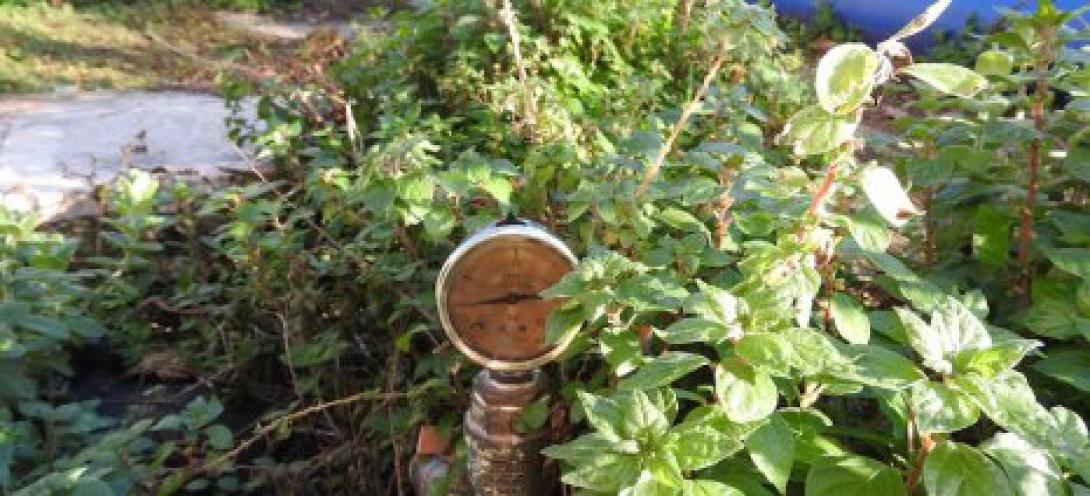 υδρονομέας