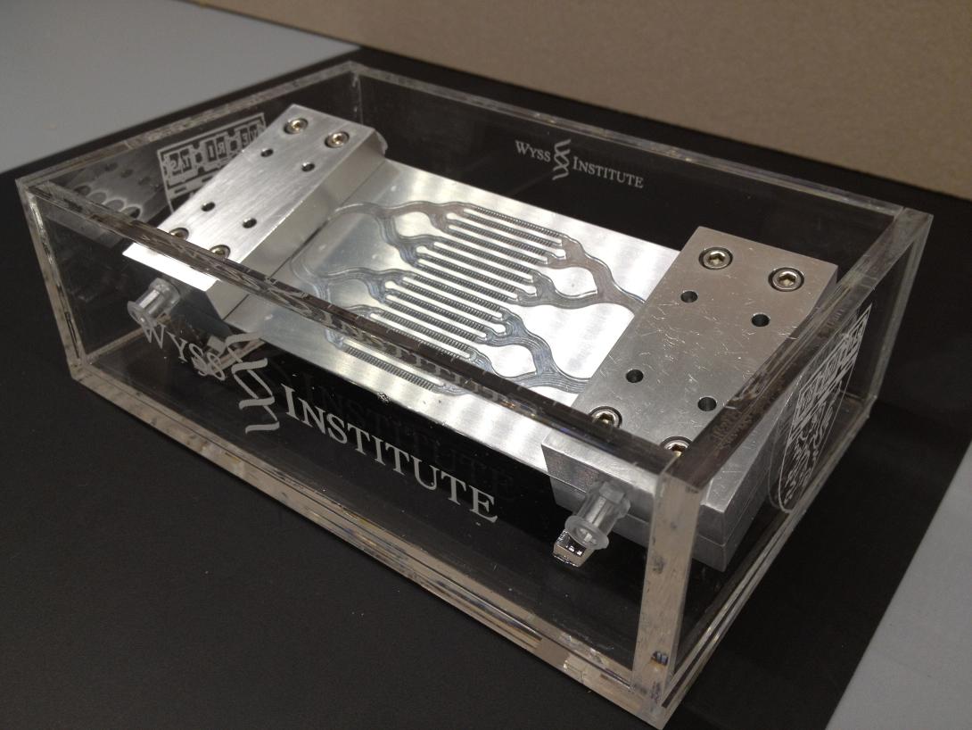 Η πρώτη τεχνητή βιο-σπλήνα που καθαρίζει το αίμα μαγνητικά