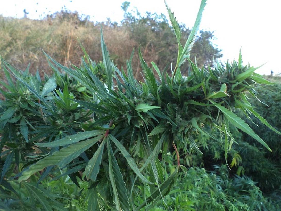 Μυλοπόταμος