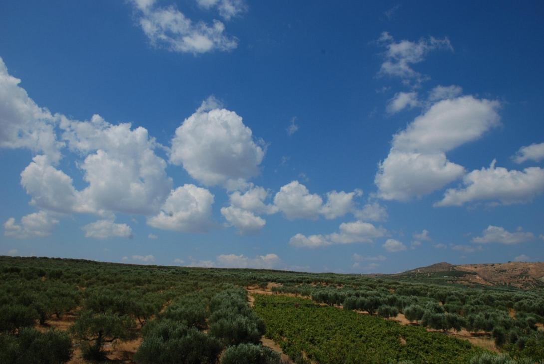 Την 1η ανοικτή συγκέντρωση πραγματοποιεί αύριο η δημοτική κίνηση Μινώα Πεδιάδας 