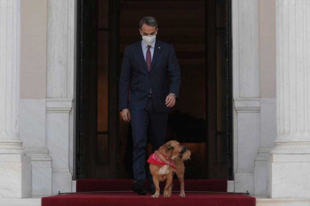 Μητσοτάκης - Πίνατ