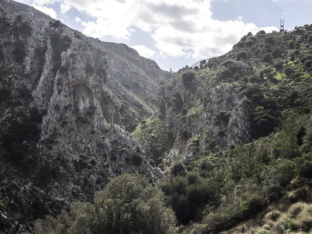 ψηλορείτης5