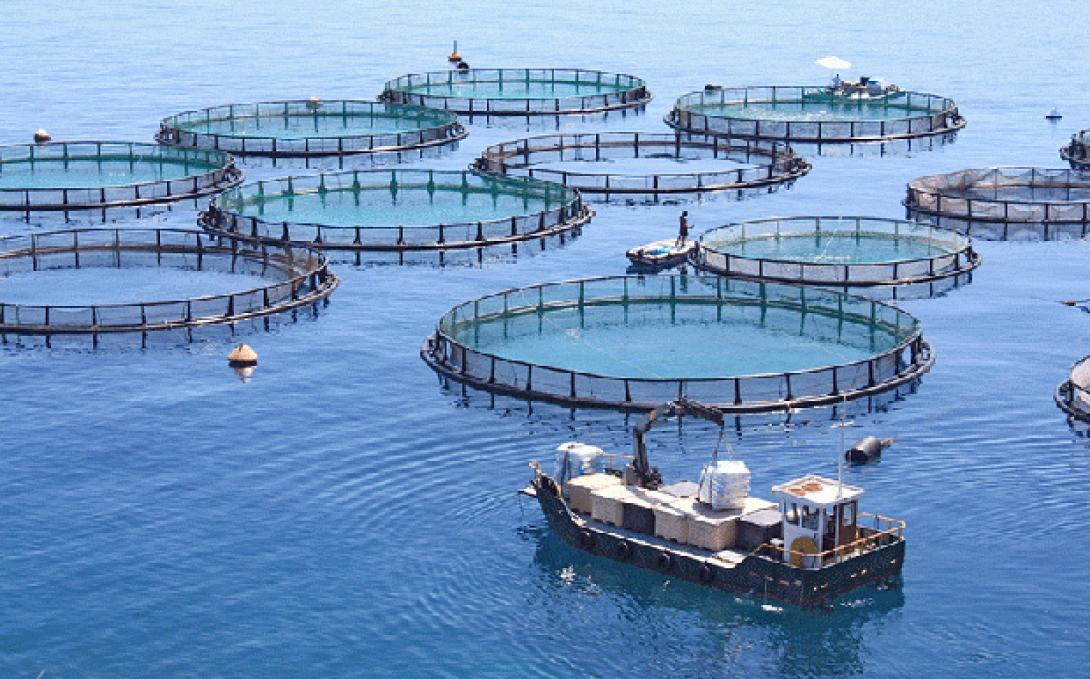 μονάδα ιχθυοκαλλιέργειας