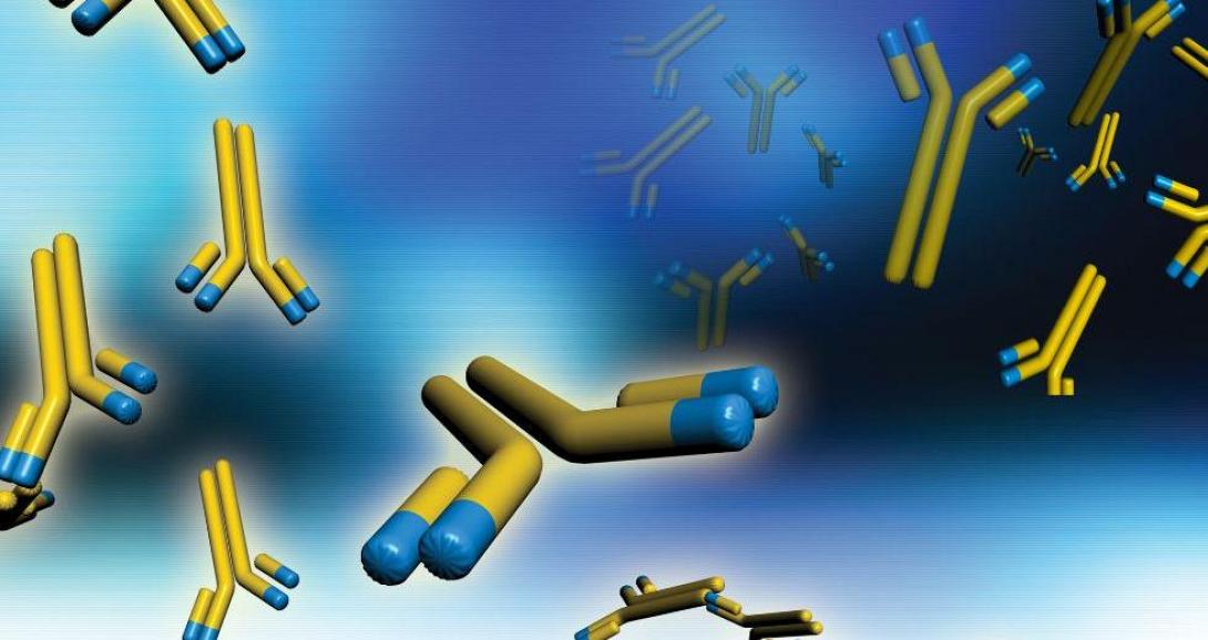 μονοκλωνικά αντισώματα